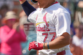 Mets Cardinals Spring Baseball