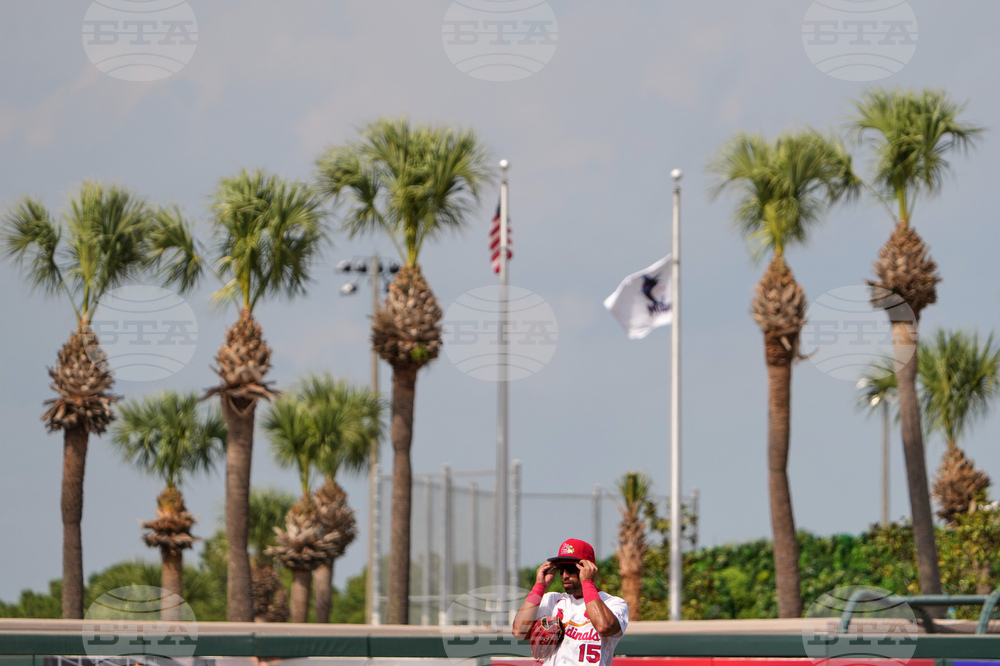 Mets Cardinals Spring Baseball