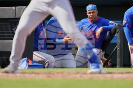 Mets Cardinals Spring Baseball