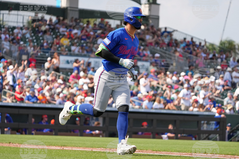 Mets Cardinals Spring Baseball