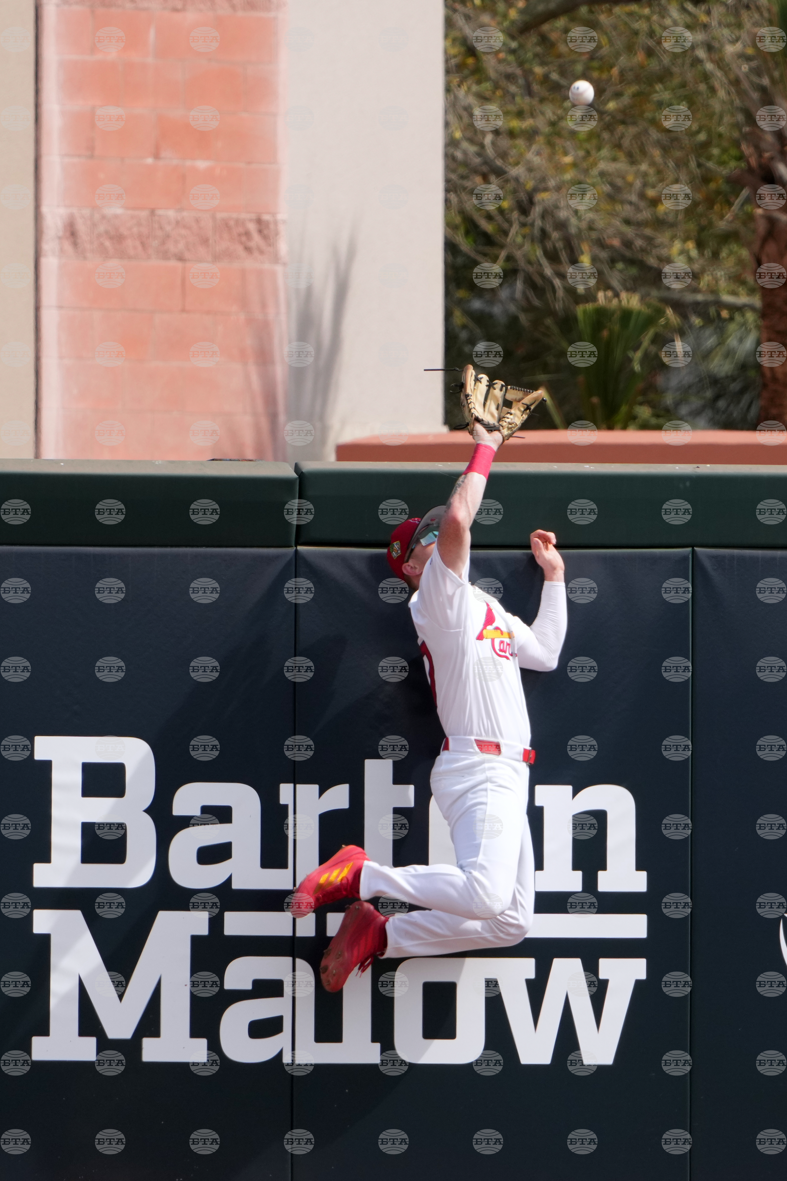 APTOPIX Mets Cardinals Spring Baseball