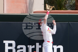 APTOPIX Mets Cardinals Spring Baseball