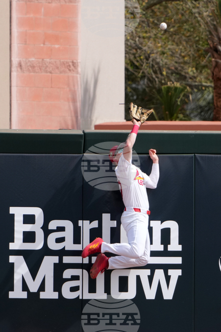 APTOPIX Mets Cardinals Spring Baseball