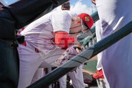 Mets Cardinals Spring Baseball