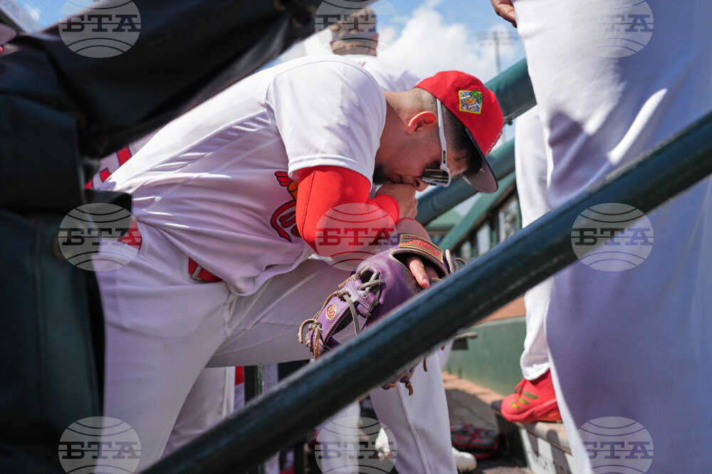 Mets Cardinals Spring Baseball