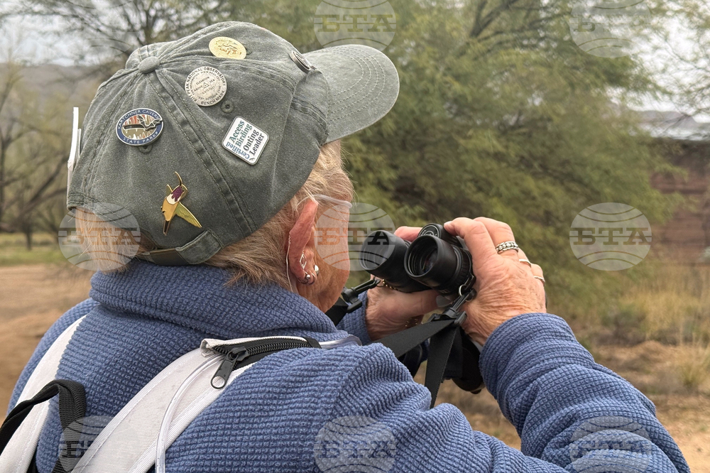 Accessible Birdwatching-Disabled