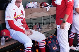 Mets Cardinals Spring Baseball