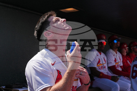 Mets Cardinals Spring Baseball