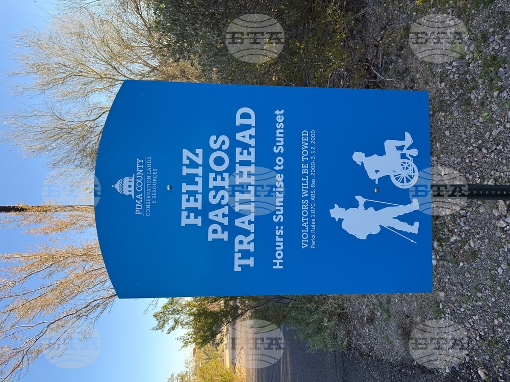 Accessible Birdwatching-Disabled