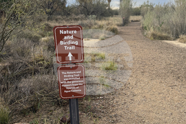 Accessible Birdwatching-Disabled