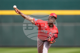 Red Sox Braves Spring Baseball