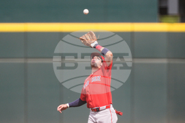 Red Sox Braves Spring Baseball