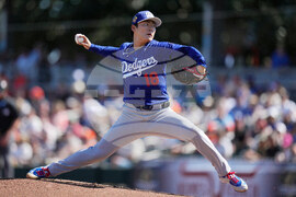 Dodgers Giants Spring Baseball