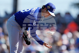 Dodgers Giants Spring Baseball