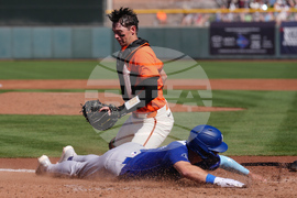 Dodgers Giants Spring Baseball