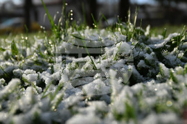 Разград - пролет - сняг