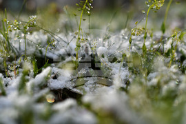 Разград - пролет - сняг