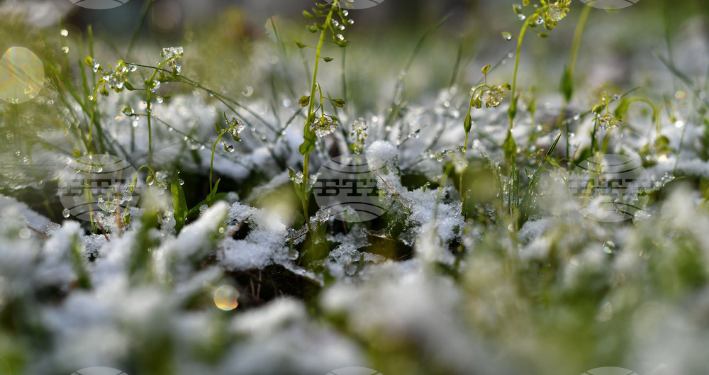 Разград - пролет - сняг