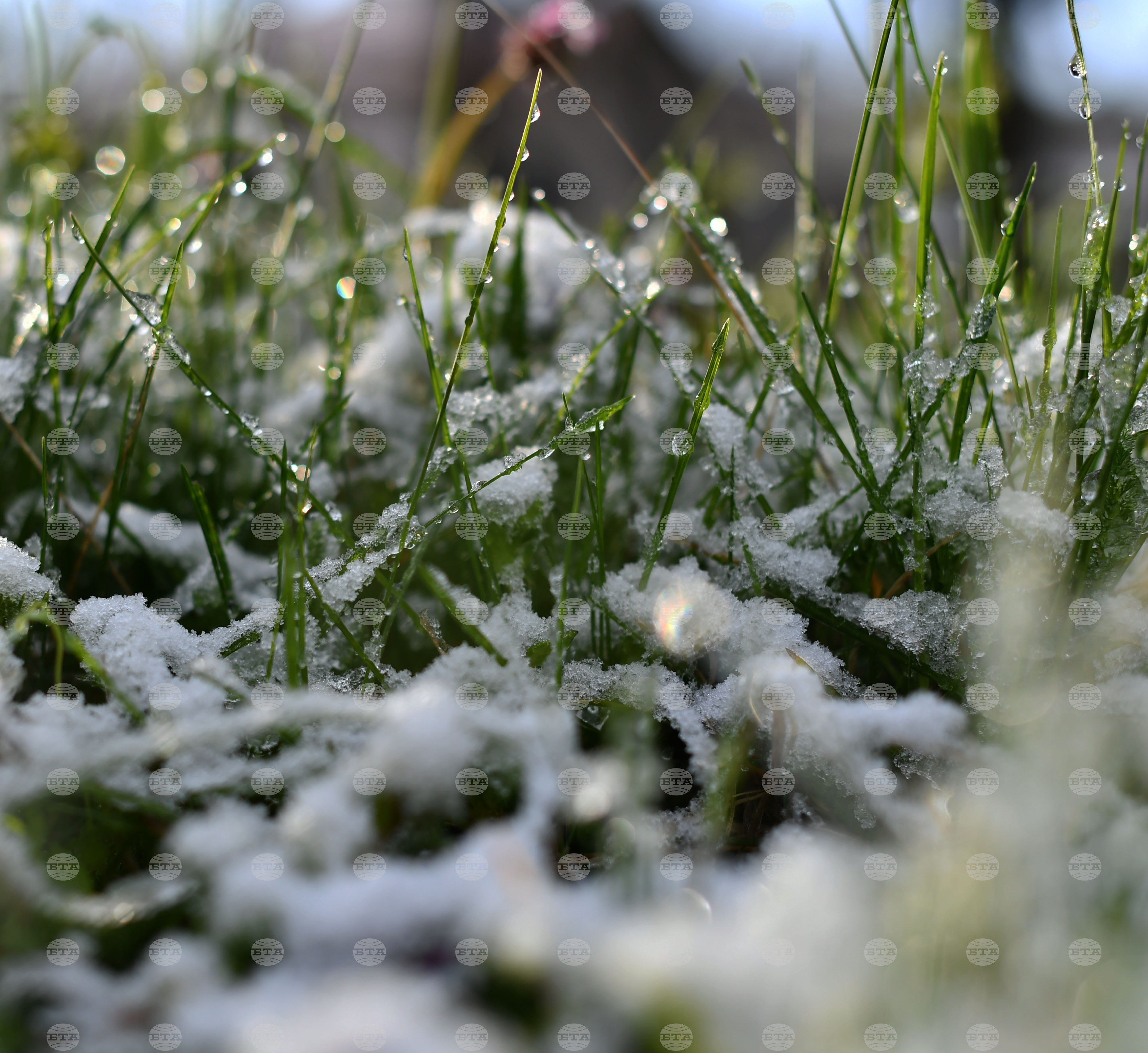 Разград - пролет - сняг