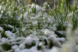 Разград - пролет - сняг