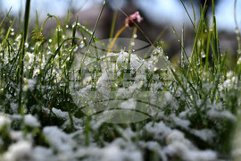 Разград - пролет - сняг