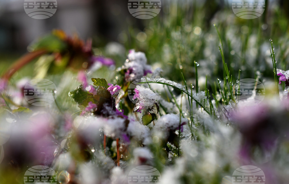 Разград - пролет - сняг