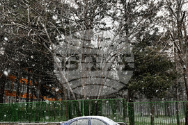 Разград - пролет - сняг