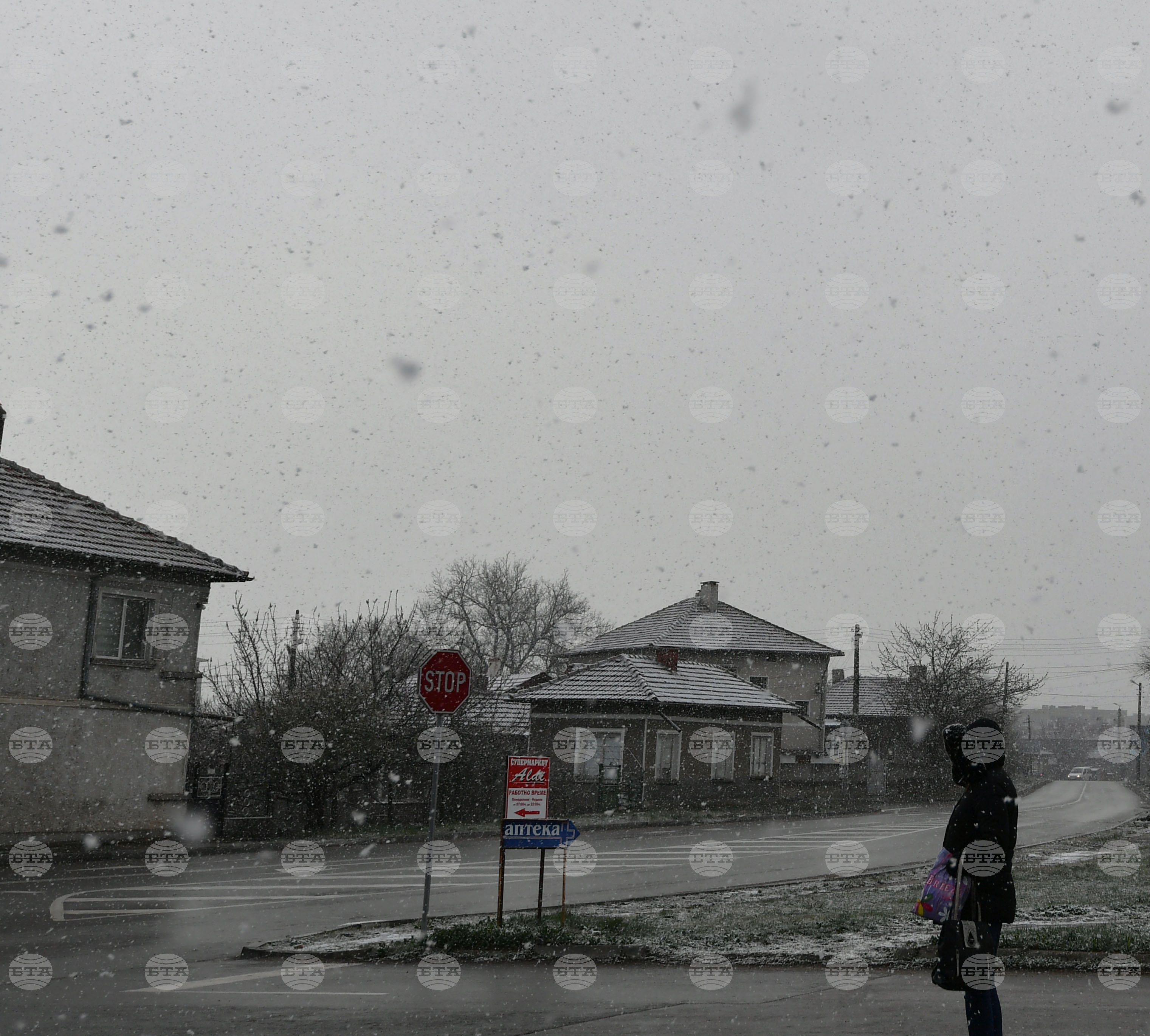 Разград - пролет - сняг