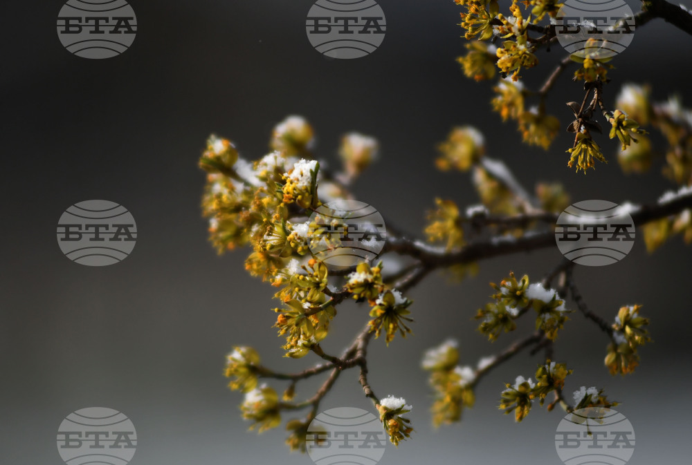 Разград - пролет - сняг