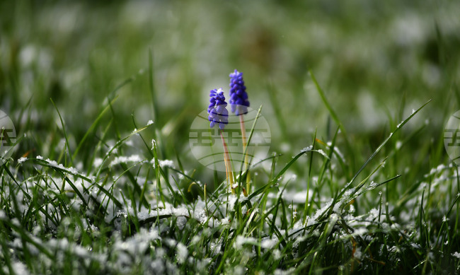 Разград - пролет - сняг