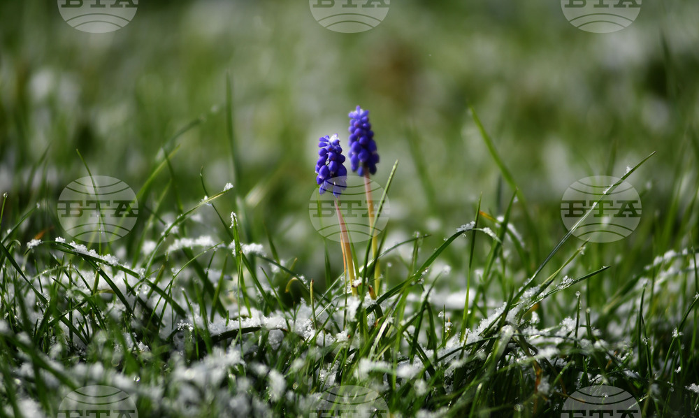 Разград - пролет - сняг