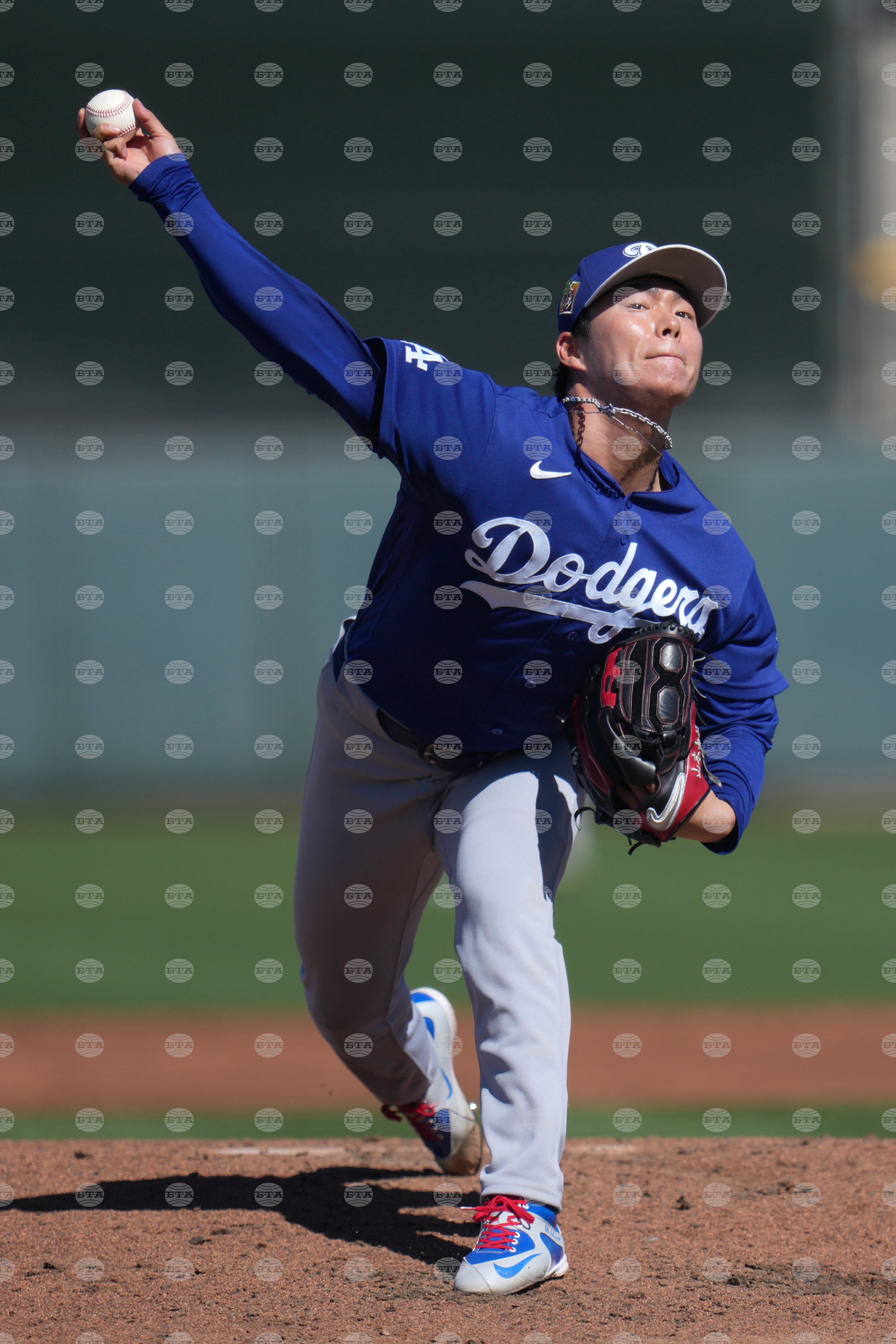 Dodgers Giants Spring Baseball