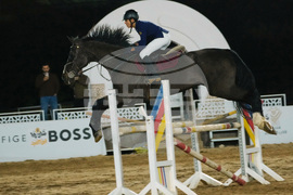 Iraq Horse Jumping Championship