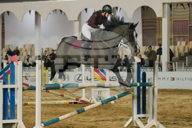 Iraq Horse Jumping Championship
