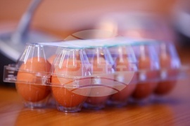 Национален пресклуб на БТА София - пресконференция