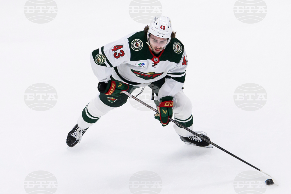 Wild Mammoth Hockey