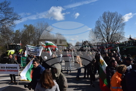 Видин - протест - зърнопроизводители