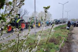 Силистра - зърнопроизводители - протест