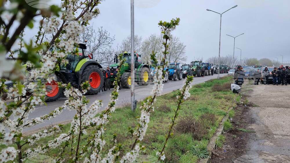Силистра - зърнопроизводители - протест