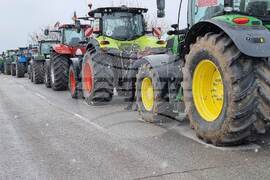 Силистра - зърнопроизводители - протест