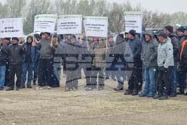 Силистра - зърнопроизводители - протест
