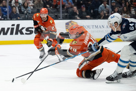 Jets Ducks Hockey