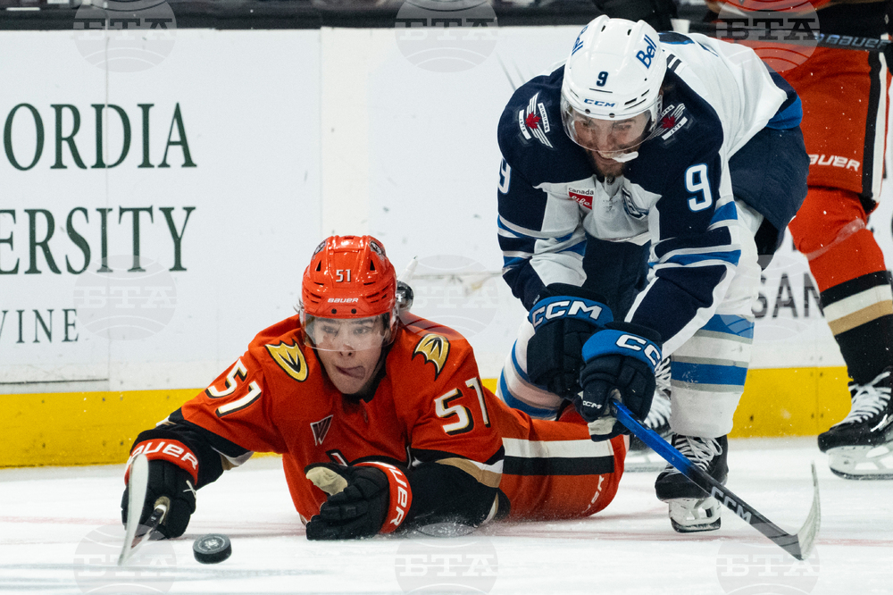 Jets Ducks Hockey