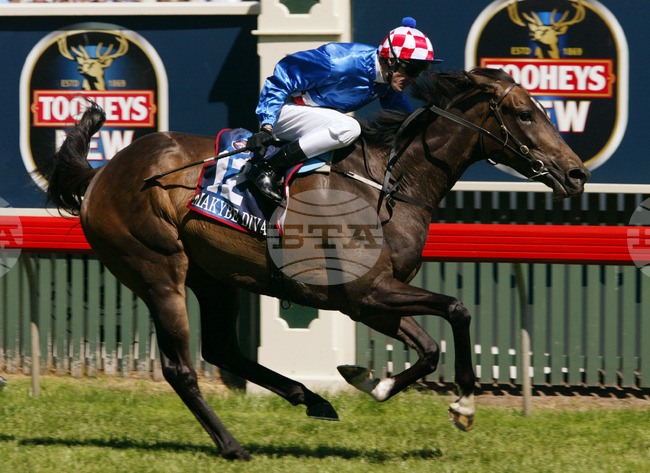 Australia Makybe Diva Death
