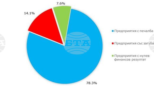 Минимален ръст на фирмите в реалната икономика в Ловешка област през 2024 г. отчита статистиката