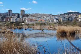 Кърджали - акция по почистване