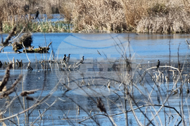 Кърджали - акция по почистване