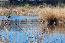 Кърджали - акция по почистване