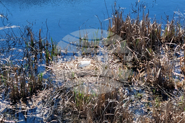 Кърджали - акция по почистване