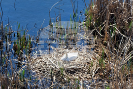 Кърджали - акция по почистване